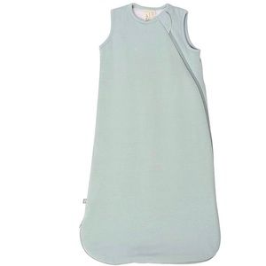 Sleeping Bag/Wearable Blanket